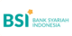BSI Net Logo